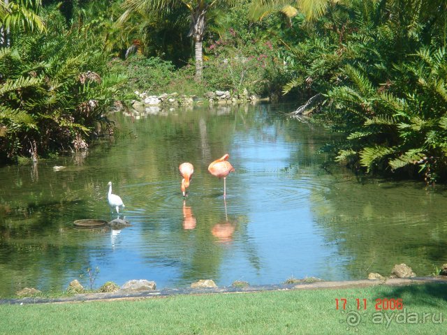 Melia Caribe Tropical