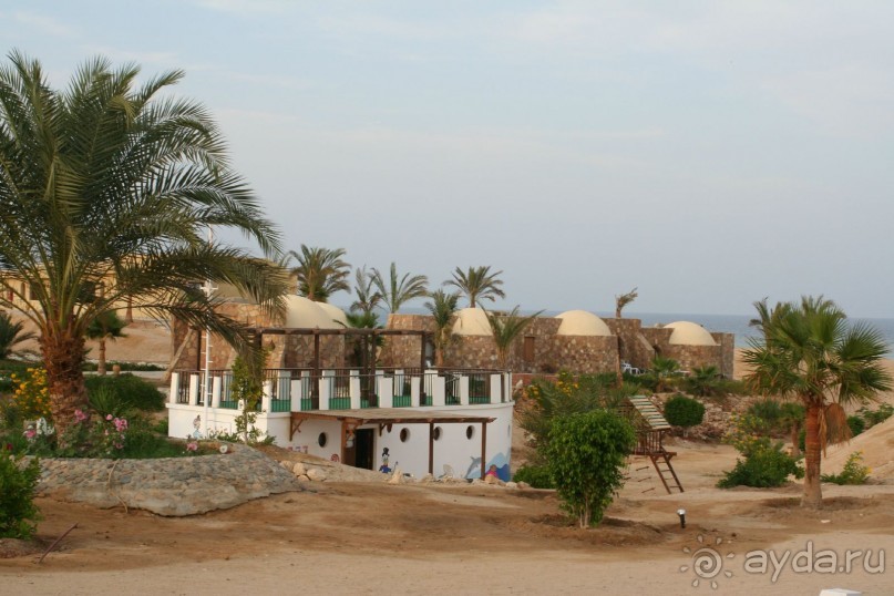 The Three Corners Fayrouz Plaza Beach Resort 5