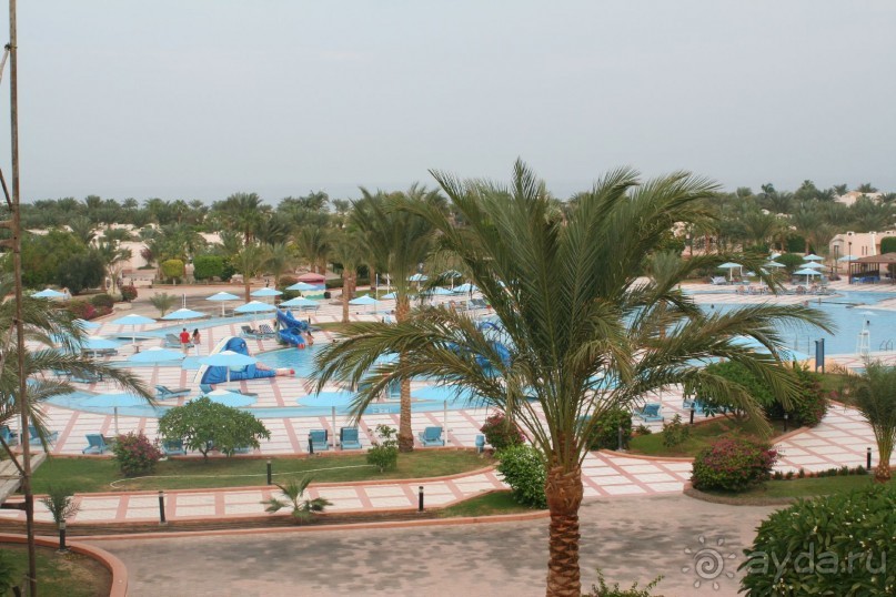 Pharaoh azur resort отзывы