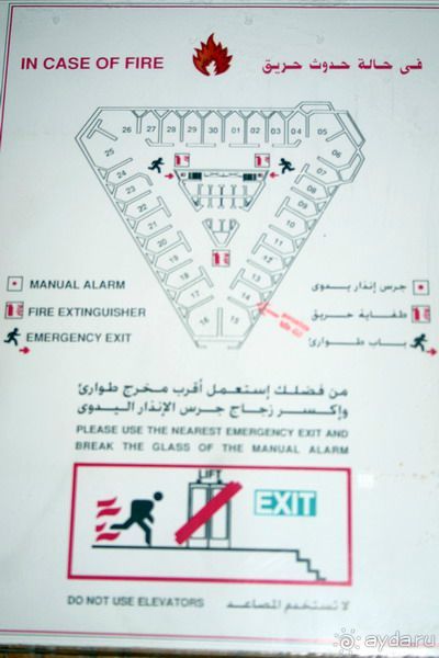 Каир  2005-6 год