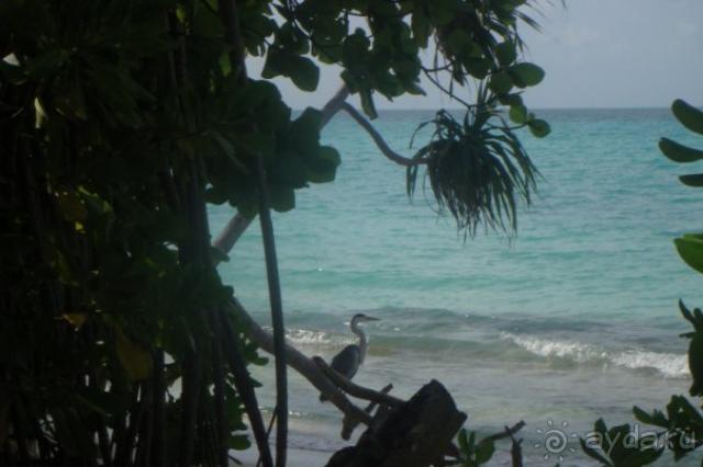 Kuramathi Coconut Village