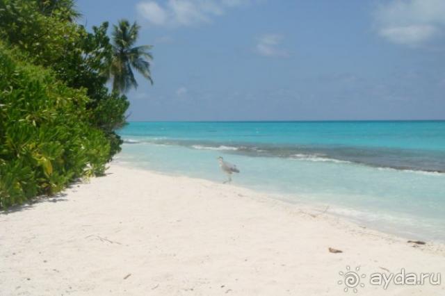 Kuramathi Coconut Village