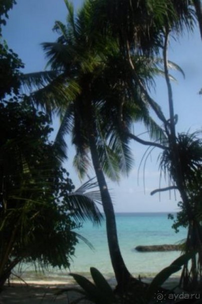 Kuramathi Coconut Village