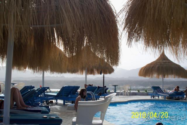 Beach Albatros Sharm