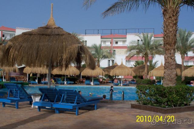 Beach Albatros Sharm