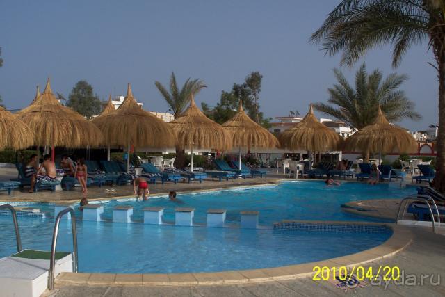 Beach Albatros Sharm