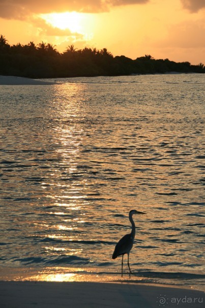 Sun Island Resort