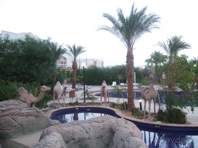 Sheraton Sharm