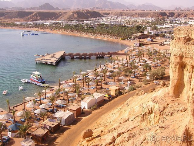 Beach Albatros Sharm