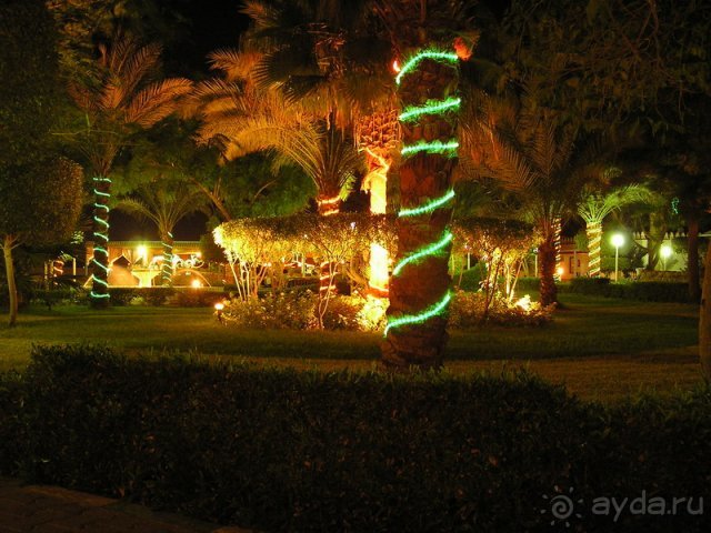 Beach Albatros Sharm