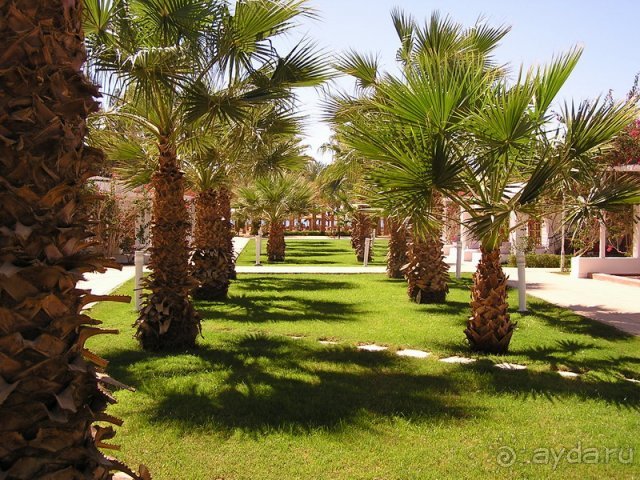 Beach Albatros Sharm