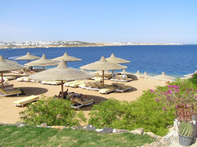 Coral Beach Rotana Resort Tiran