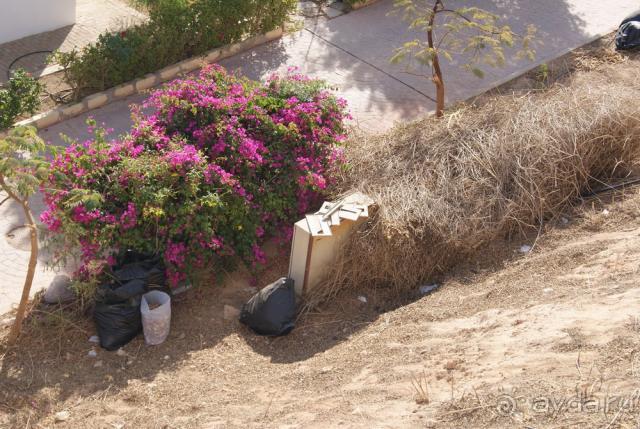 Maxi Village Sinai Garden