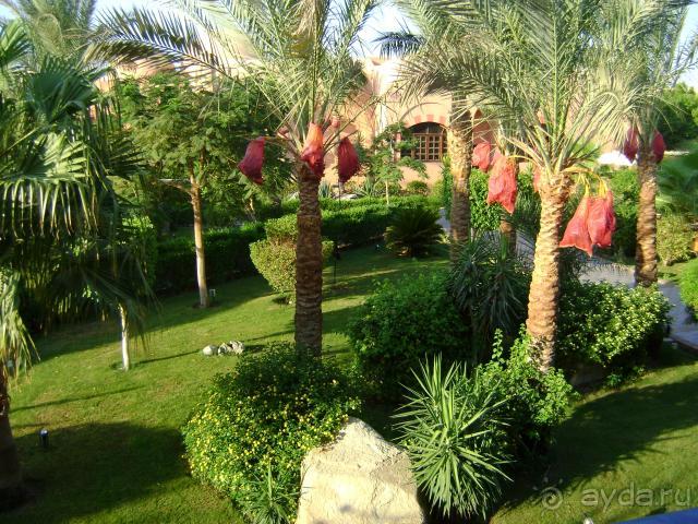 Iberotel Makadi Oasis & Family Resort