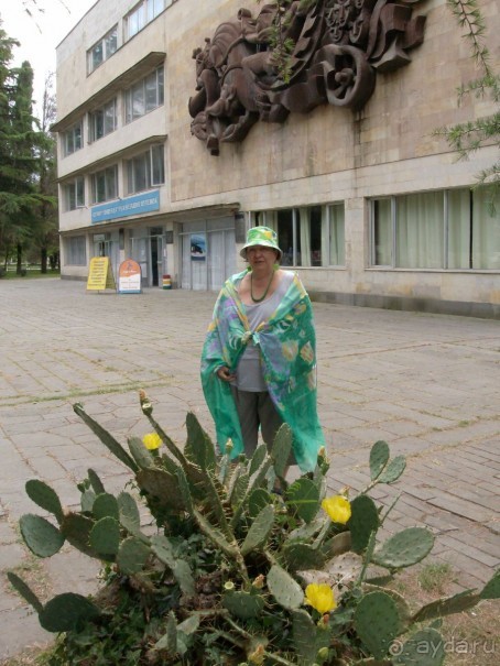 Альбом отзыва "Страхуй, не страхуй, всё равно получишь... ! ЛОХОТРОН по-абхазски"