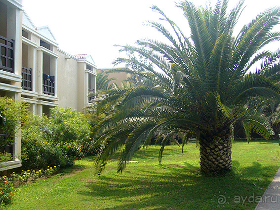 Iberostar Bellis Resort (ex. Asteria Bellis Resort)