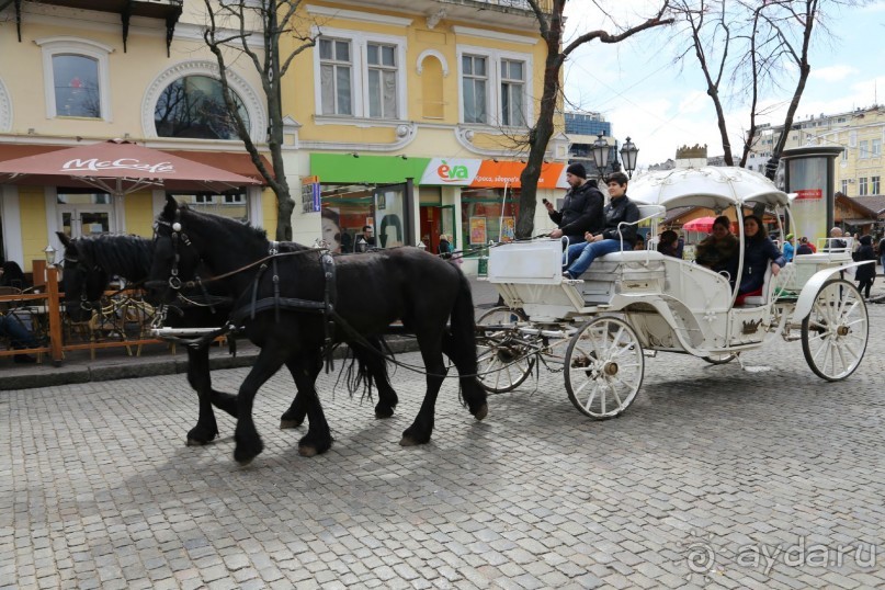 День Юмора в Одессе.