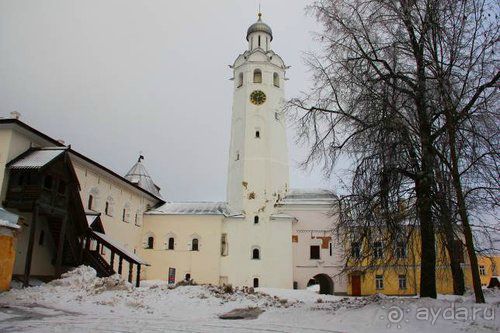 Альбом отзыва "Олени, хаски и Полярный круг"