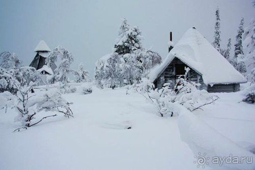 Альбом отзыва "Олени, хаски и Полярный круг"