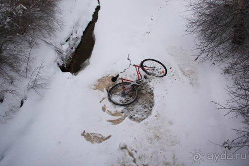 Альбом отзыва "Олени, хаски и Полярный круг"