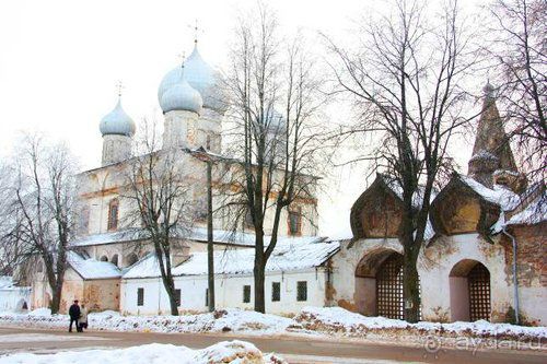 Альбом отзыва "Олени, хаски и Полярный круг"