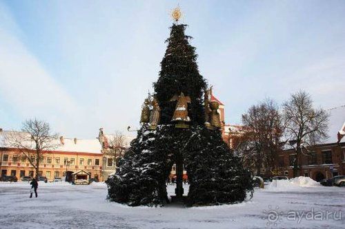 Альбом отзыва "Олени, хаски и Полярный круг"