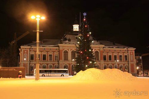 Альбом отзыва "Олени, хаски и Полярный круг"