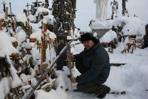 Альбом отзыва "Олени, хаски и Полярный круг"