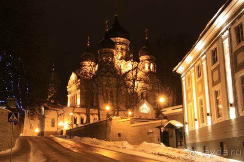 Альбом отзыва "Олени, хаски и Полярный круг"