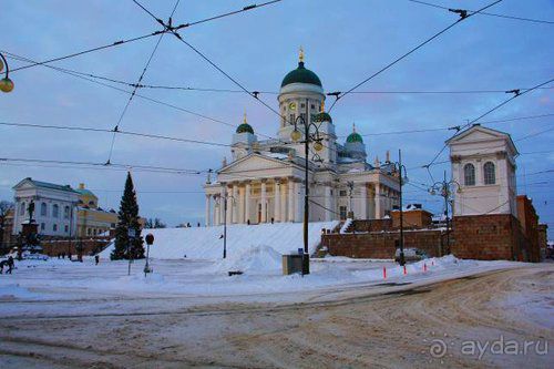 Альбом отзыва "Олени, хаски и Полярный круг"