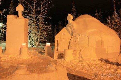 Альбом отзыва "Олени, хаски и Полярный круг"