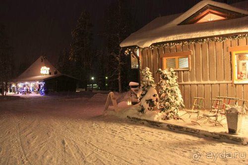 Альбом отзыва "Олени, хаски и Полярный круг"