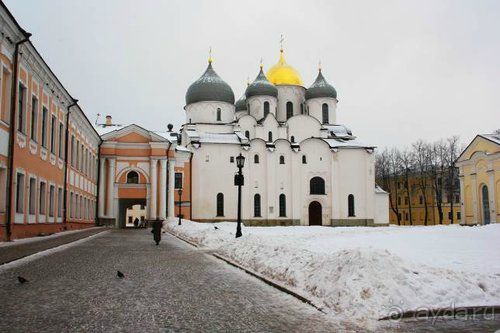 Альбом отзыва "Олени, хаски и Полярный круг"