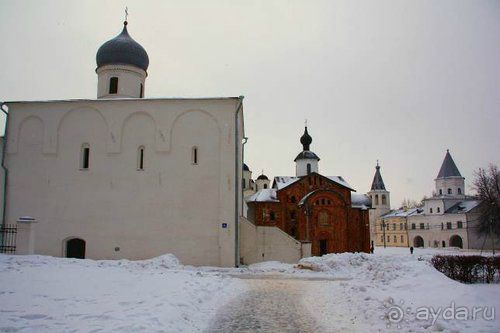 Альбом отзыва "Олени, хаски и Полярный круг"