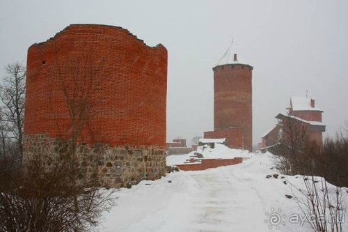 Альбом отзыва "Олени, хаски и Полярный круг"