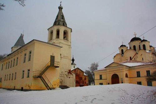 Альбом отзыва "Олени, хаски и Полярный круг"