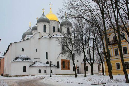 Альбом отзыва "Олени, хаски и Полярный круг"