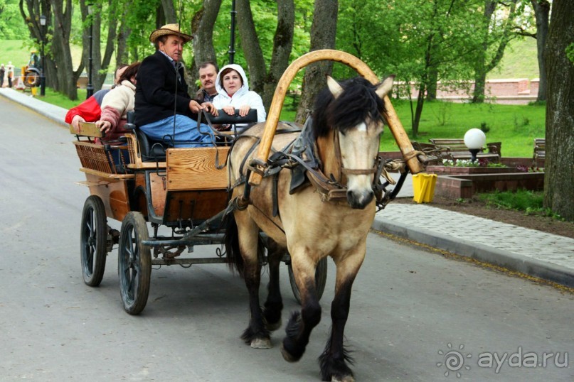 Несвижский замок