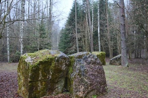 Альбом отзыва "Семнадцать мгновений зимы в Суоми"