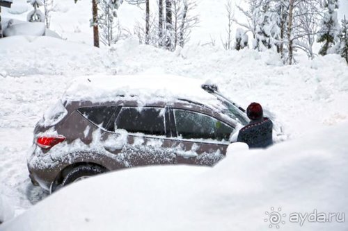 Альбом отзыва "Семнадцать мгновений зимы в Суоми"