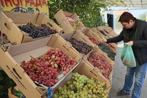 Альбом отзыва "Записки эмигранта. Переезд в Одессу из Горловки (Донецкая область)"