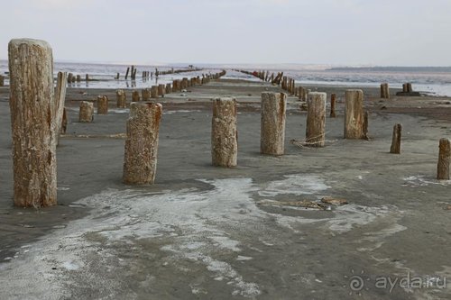 Альбом отзыва "Записки эмигранта. Переезд в Одессу из Горловки (Донецкая область)"