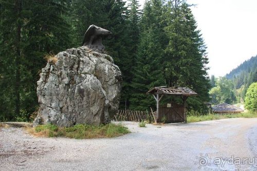 Альбом отзыва "Из румын в греки"