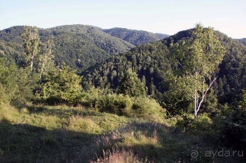 Альбом отзыва "Из румын в греки"