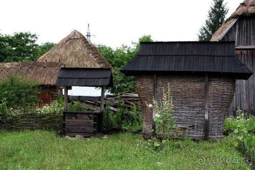 Альбом отзыва "Из румын в греки"