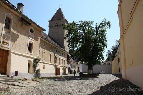 Альбом отзыва "Из румын в греки"