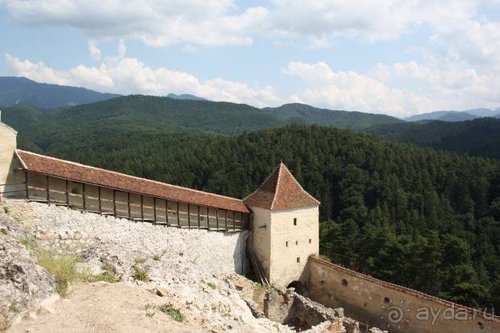 Альбом отзыва "Из румын в греки"