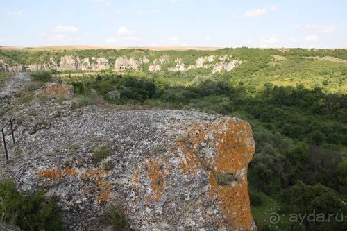 Альбом отзыва "Из румын в греки"