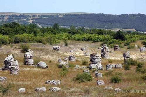 Альбом отзыва "Хождение за пять морей"