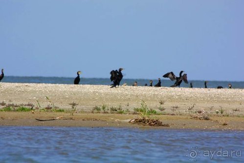 Альбом отзыва "Хождение за пять морей"